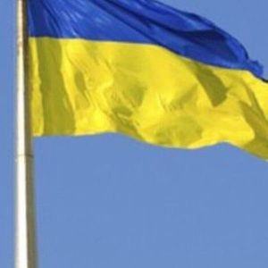 Meet your Posher, Cathryne